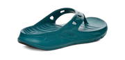 Teva Mens Apretrail Flip Blue Coral