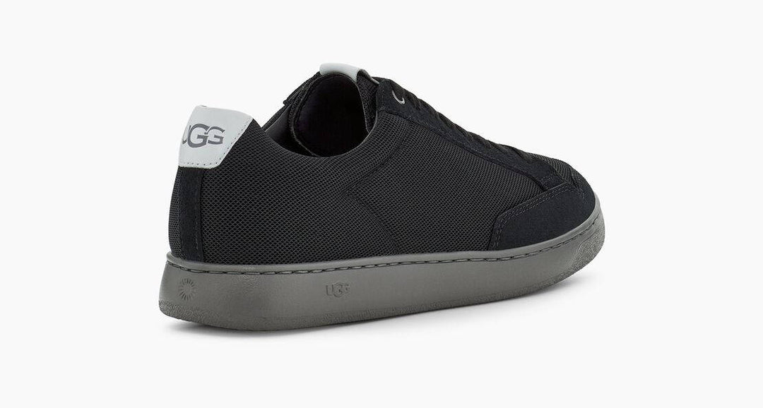 Brand new south shops bay sneakers lows from uggs